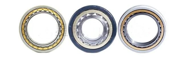 Electrically insulated bearings